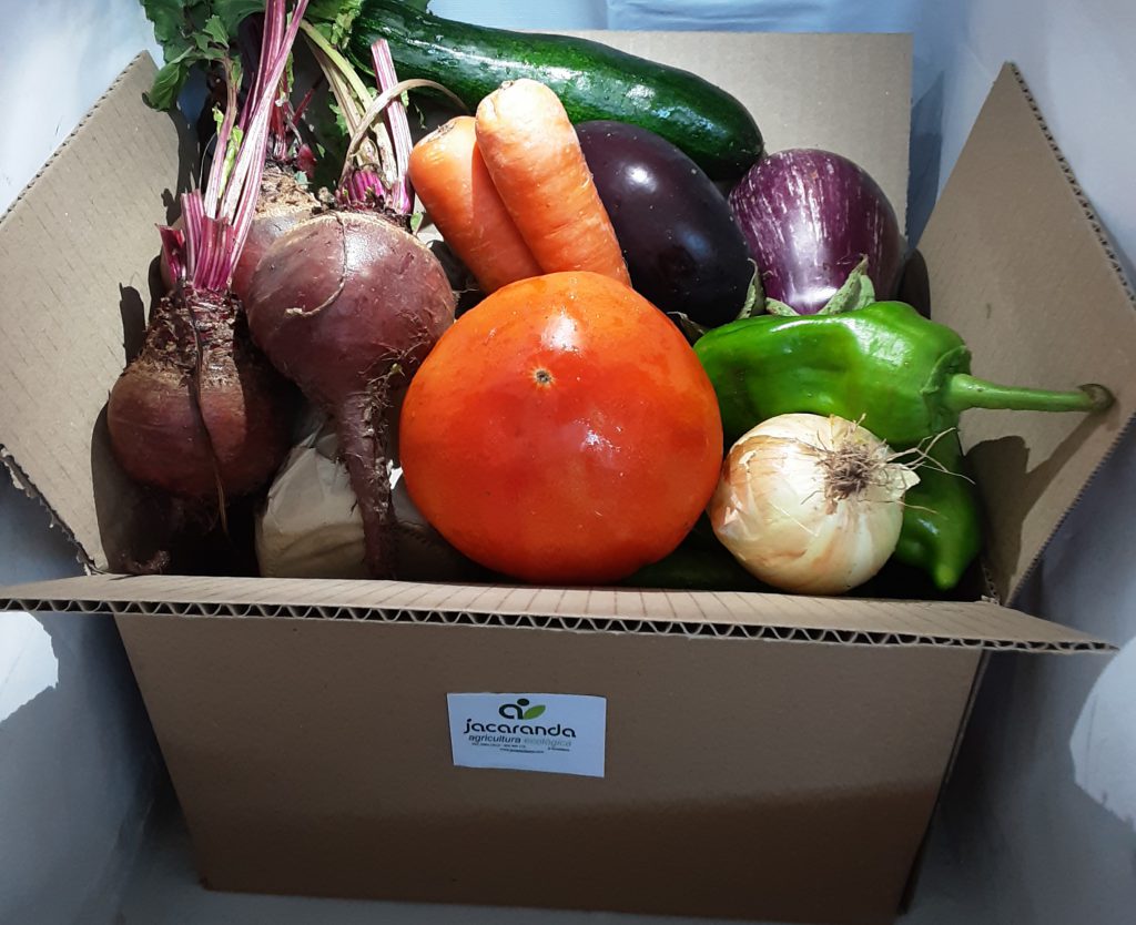 Una Cesta Quincenal / 2 Cestas